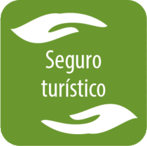 Seguro